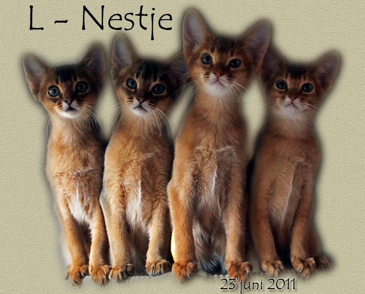 L-nestje