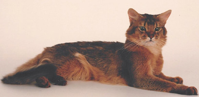 eig: Britta Denniger