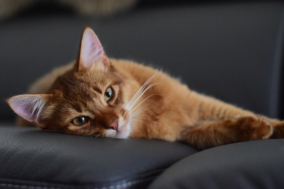 Foto/eig: Riphagen Jeannette