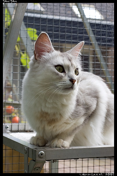 foto: Lammijne.nl