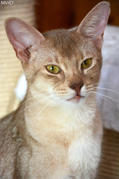 Foto: Lucas & Cats / Eig: Van den Dries Marina
