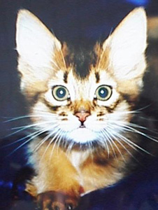 eig: Britta Denniger