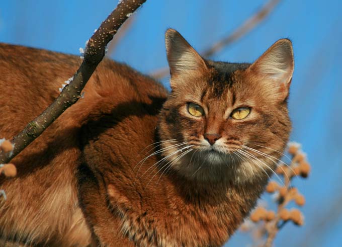 eig: Marga Wal Lindeboom / Foto: Leslie Wal
